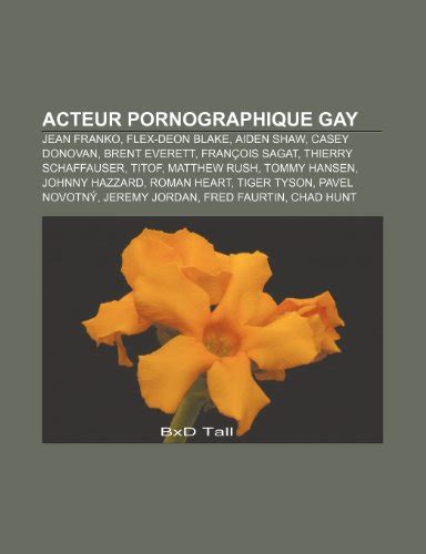 pornographique gays